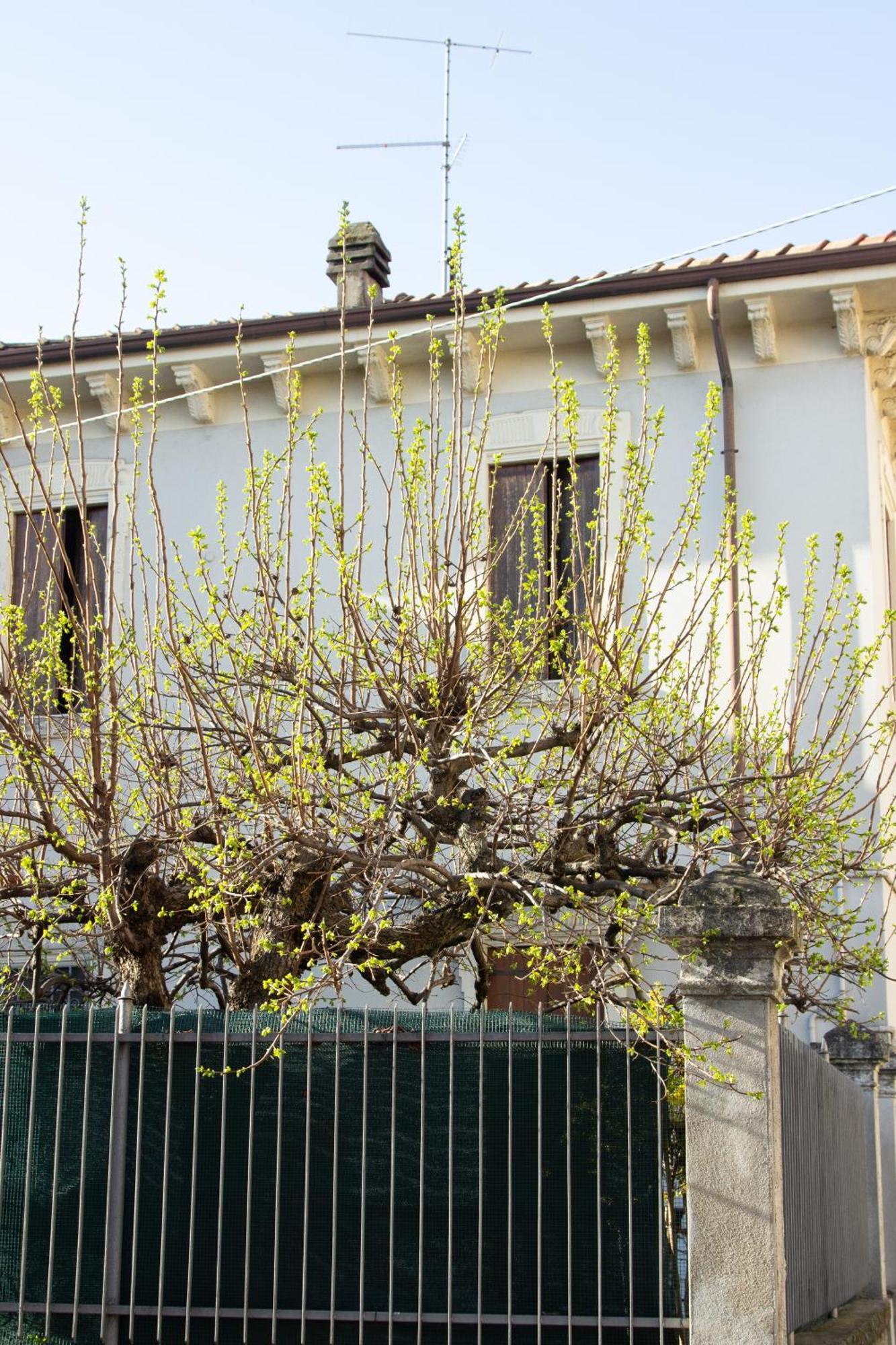 Verona Nest Екстериор снимка